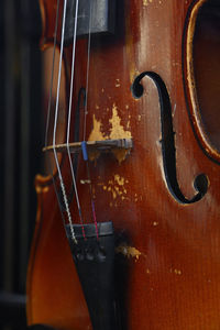 Close-up of cello