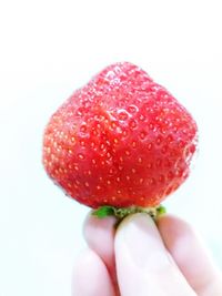 Close-up of hand holding strawberry over white background