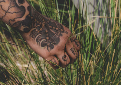 Close-up of hand on grass