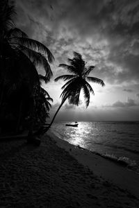 Palm trees on beach against sky during sunset