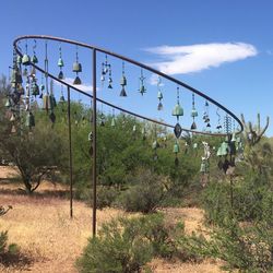 Plants growing on field against blue sky