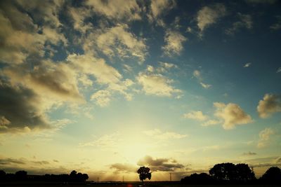 Silhouette of trees at sunset