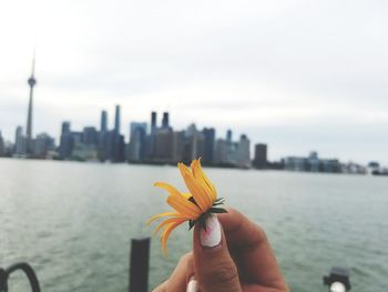 Cropped hand of woman holding yellow by lake ontario and cn tower with skyline against sky