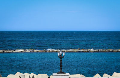 Seagull by sea against clear blue sky