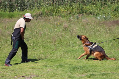 Dog running on grassy field