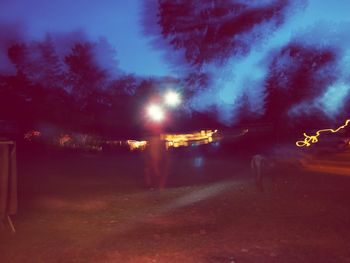 Illuminated trees against sky at night