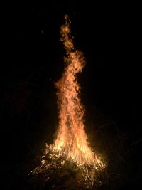 Close-up of bonfire at night