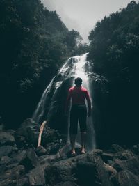 Rear view of man standing on rock