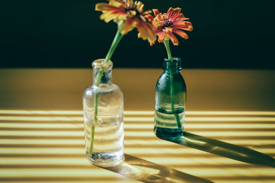 Close-up of flower in glass vase on table