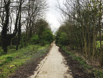 Dirt road amidst trees against sky