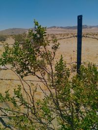 Scenic view of desert against clear sky