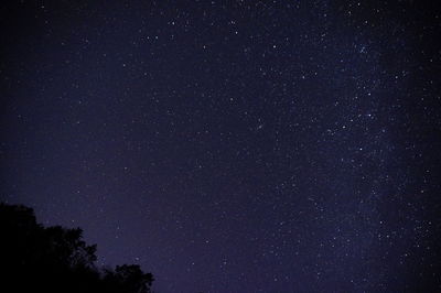 Low angle view of stars against sky at night