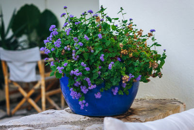 Close-up of purple flower pot on table