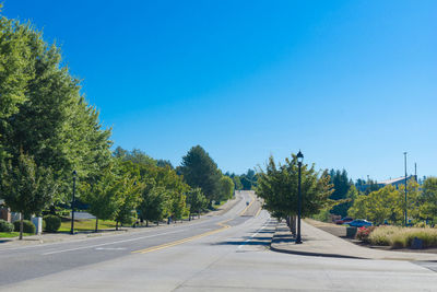 Road by trees against blue sky