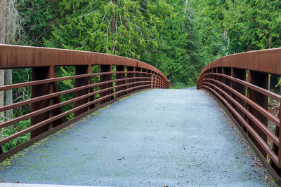 View of footbridge in forest