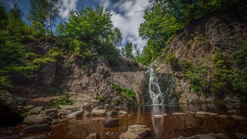 Scenic view of waterfall in forest