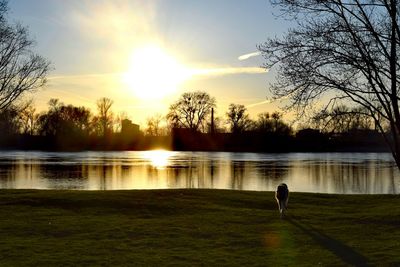 Silhouette of man on riverbank against sky during sunset