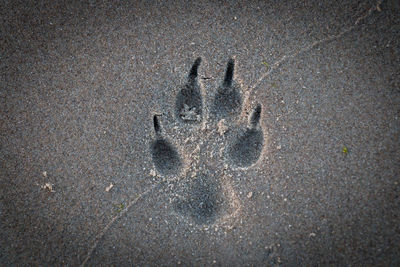 High angle view of text on sand at beach