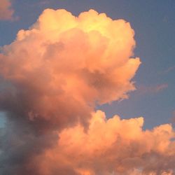 Low angle view of cloudy sky at sunset