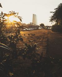 View of city against sky during sunset