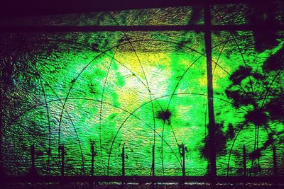 Tree trunk on a wall