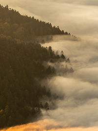 Scenic view of cloudscape against sky during sunset