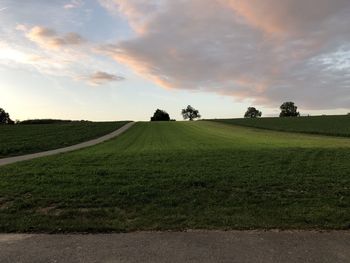 Scenic view of field against sky during sunset