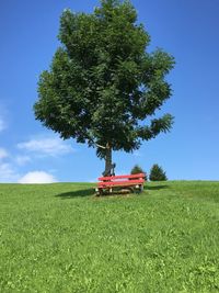 Empty bench by tree on grassy field against sky