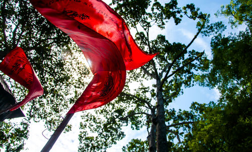 Low angle view of flag against sky