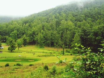 Scenic view of landscape