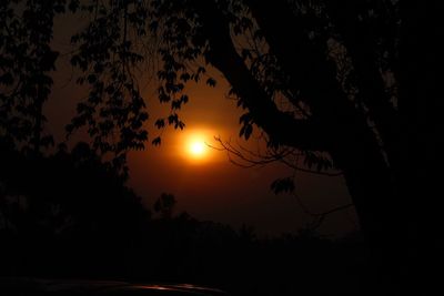 Silhouette trees against sky during sunset