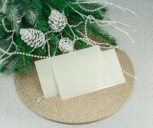 High angle view of christmas decoration on plant