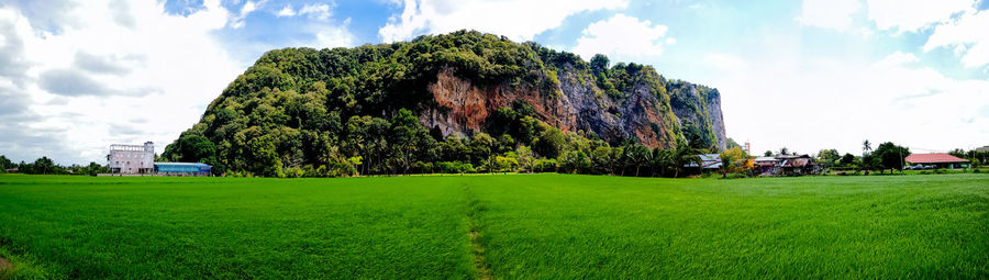 Panoramic view of trees on field against sky