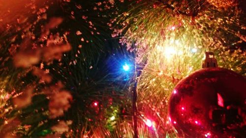 Low angle view of illuminated christmas tree at night