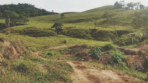 Dirt road passing through field