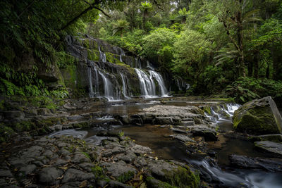 Scenic view of waterfall in forest