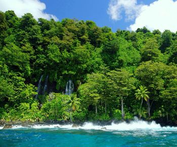 Scenic view of waterfall
