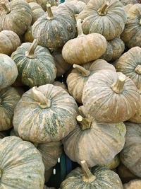 Full frame shot of pumpkins at market