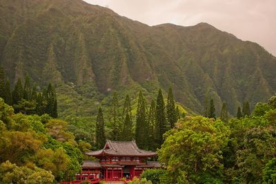 Panoramic view of trees and mountains against sky