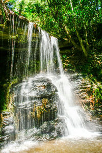 Low angle view of waterfall in forest