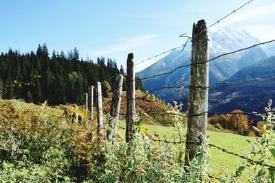 View of wooden post on field against sky