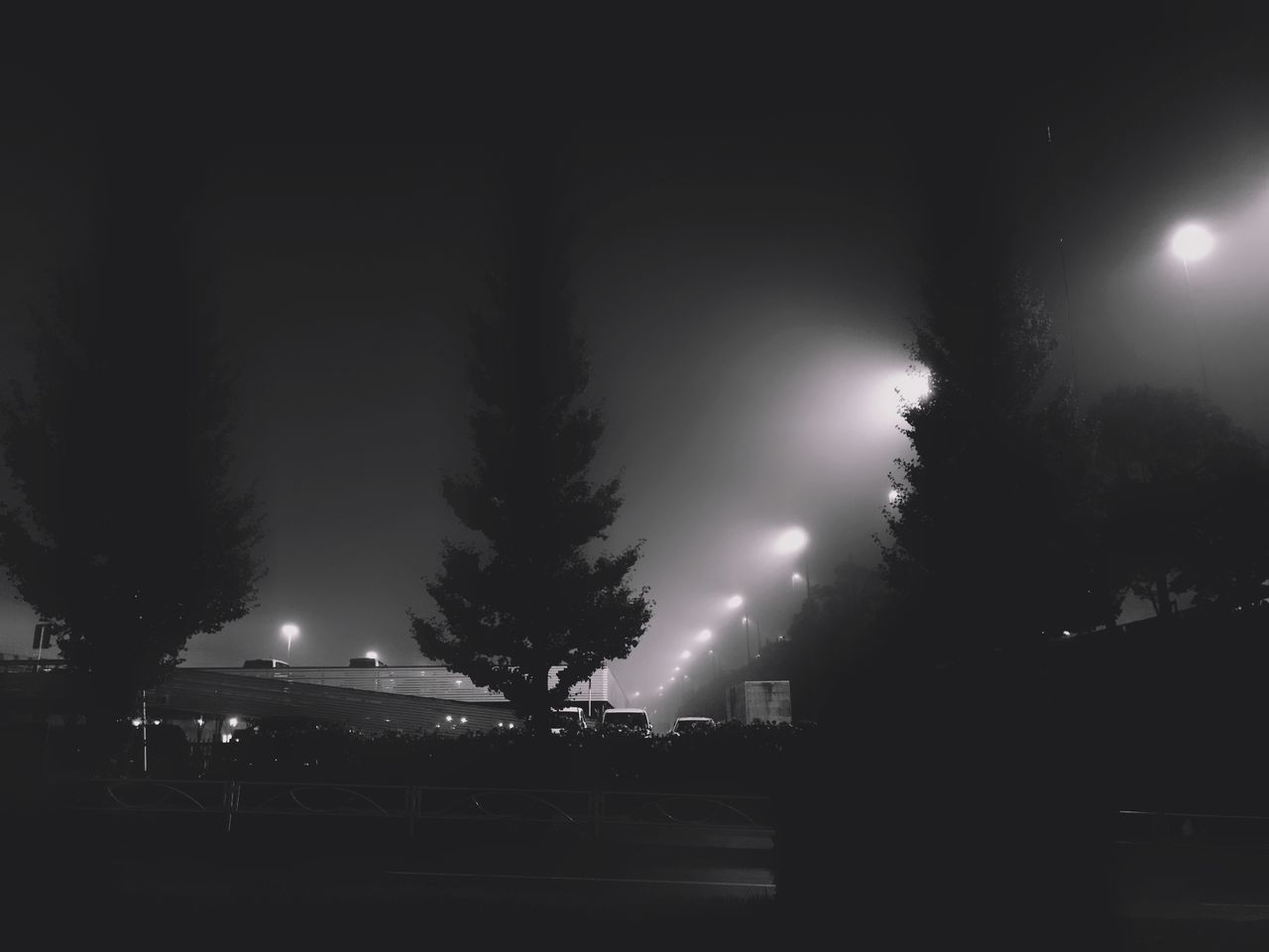 ILLUMINATED STREET AMIDST SILHOUETTE TREES AGAINST SKY AT NIGHT