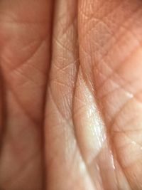 Full frame shot of hand