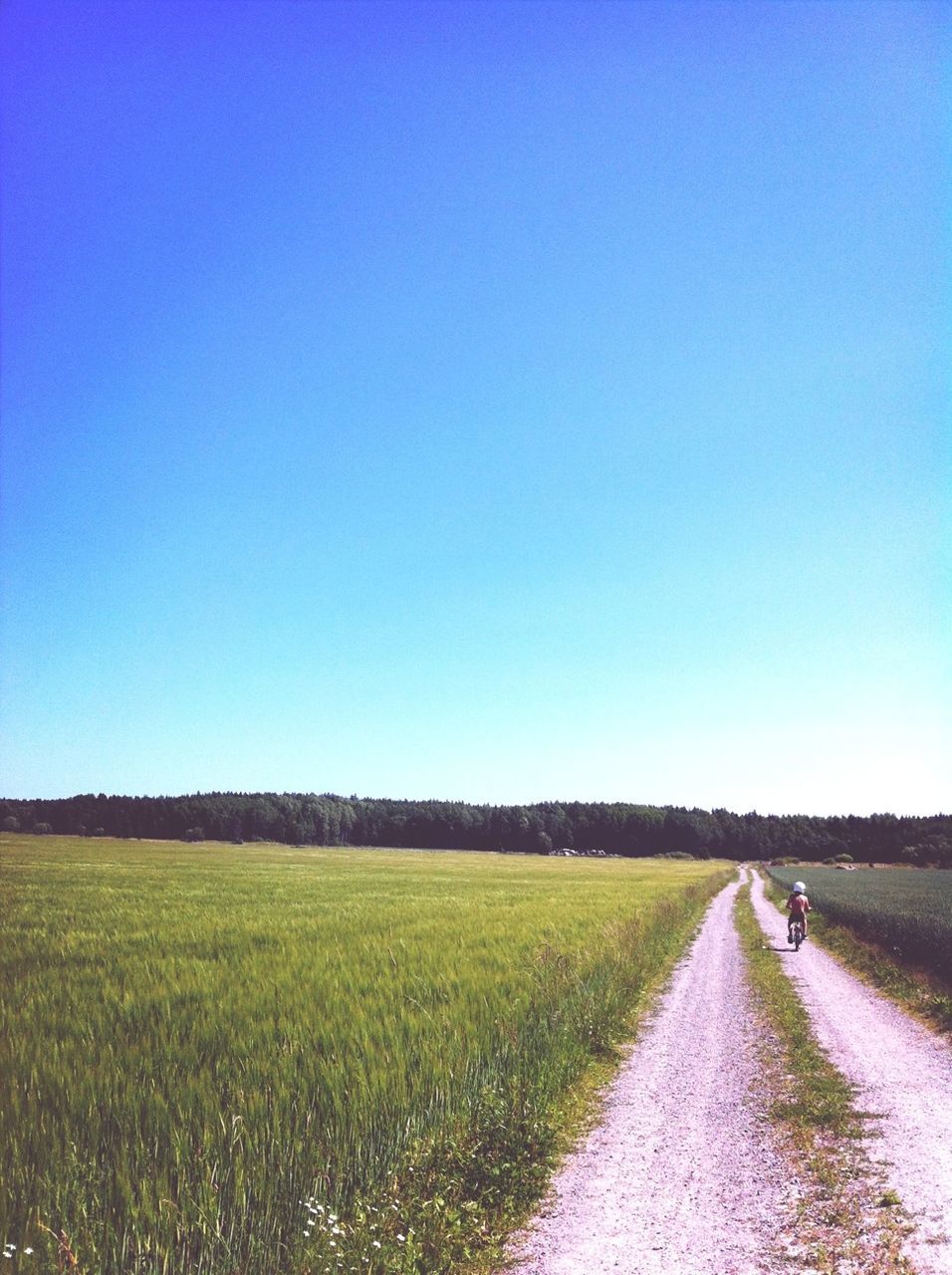 clear sky, the way forward, copy space, grass, field, road, landscape, tranquil scene, tranquility, diminishing perspective, transportation, country road, blue, vanishing point, dirt road, nature, rural scene, scenics, grassy, beauty in nature