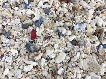 High angle view of pebbles on pebble beach