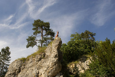 Low angle view of trees against rocks