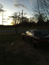 Bare trees against sky at sunset