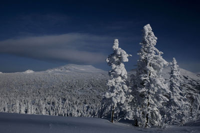 Sunny winter morning in the mountains of sheregesh on the ski track 