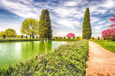 Plants by lake against sky