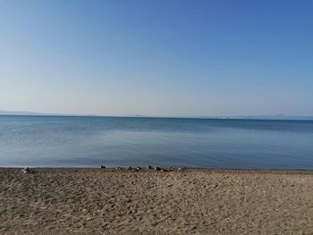 Scenic view of sea against clear blue sky